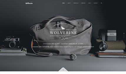 11. HOMEPAGE ONEPAGE